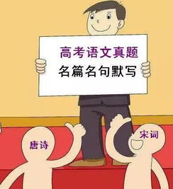 文言文,感受,学习