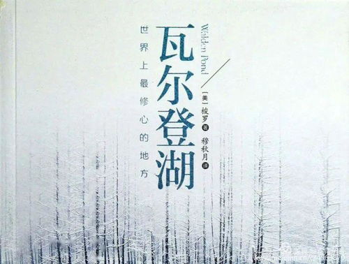 别无长物文言文每句的停顿