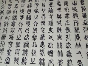 文言文,八十字
