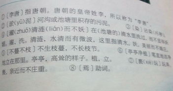 文言文,顶籍者下相人也
