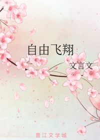 文言文,翱翔
