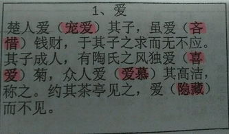 石斧,文言文,原始,翻译