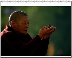 祈求苍天保佑的文言文