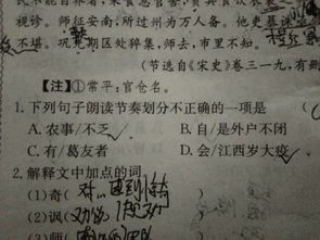 文言文,乘船,划分,节奏