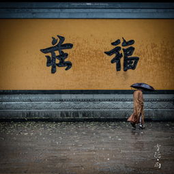 文言文,灵隐