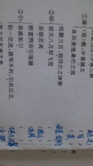 乞猫原文及翻译文言文