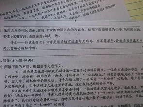 文言文,高中,仿写
