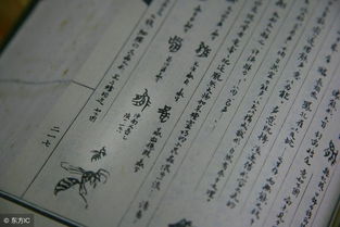 写读书的文言文翻译
