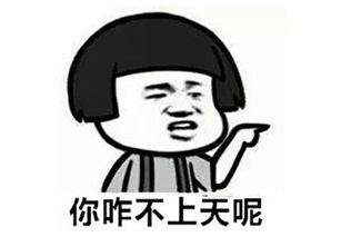 表演用文言文怎么说一个字,今天用文言文怎么说,未来用文言文怎么说