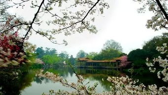 西陵峡的文言文翻译,西陵峡文言文翻译注释,西陵峡文言文原文及翻译