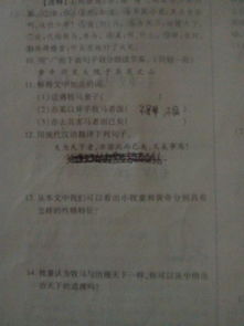 穆公亡马文言文翻译阅读答案,穆公亡马文言文翻译,穆公亡马文言文注释