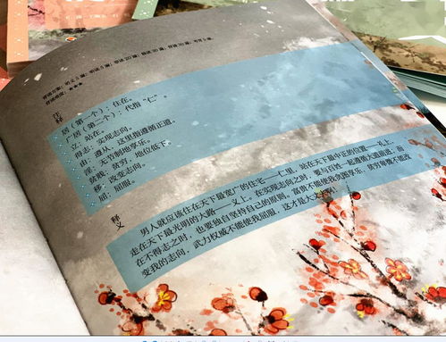 文言文,意境,优美