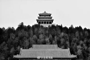 松柏之志犹存文言文