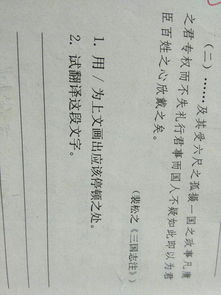 课外文言文阅读东坡画扇答案