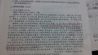 贺若弼文言文翻译,贺若弼文言文阅读答案,贺若弼,字辅伯文言文翻译