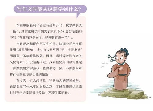 我学习文言文的感受