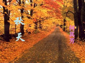关于秋天的诗句有哪两句?,秋天的诗句有哪些两句,关于秋天的诗句(至少两句)