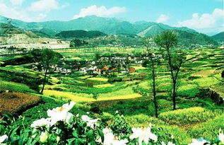 关于铜陵市凤凰山景区的名言或诗句