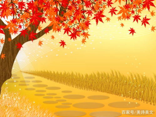 白居易含有花的古诗句