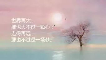 诗句,远方,思念,朋友