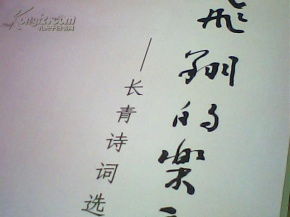 关于花样华让我飞翔诗句