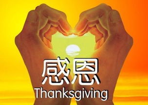 古诗,诗句,善待