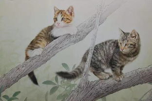 古诗里描写猫的诗句