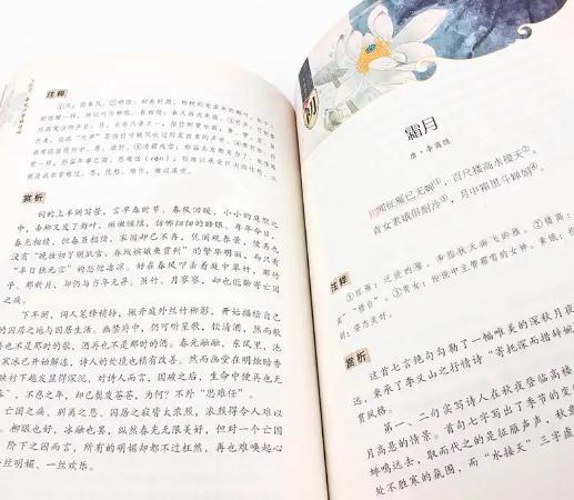 描写花的诗句古诗和注解