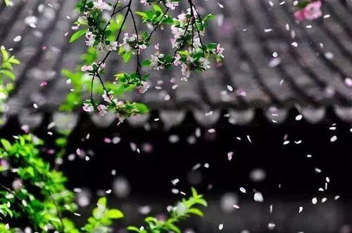 百草,诗句,复苏