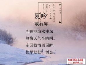 古诗词,诗句,夏天
