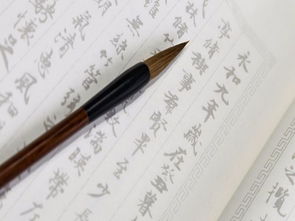 关于人生道路漫长的诗句