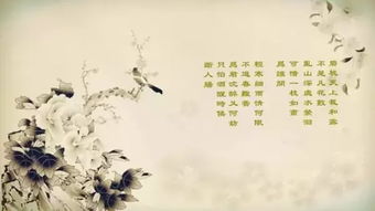 写边塞风光诗句古诗词