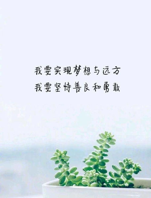 诗句,成长
