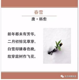 元旦的诗句古诗词