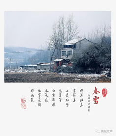 自己写一首关于咏雪的诗句