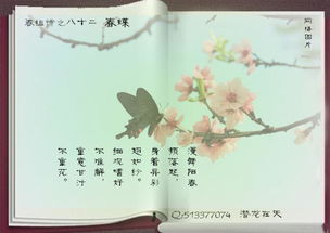 古诗,诗句
