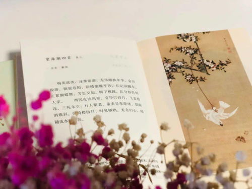 诗句,描写,优美