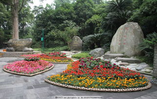 关于公园花圃的诗句