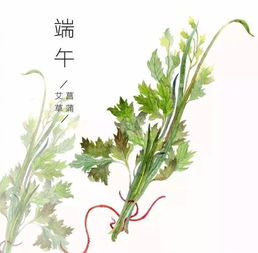 菖蒲,诗句