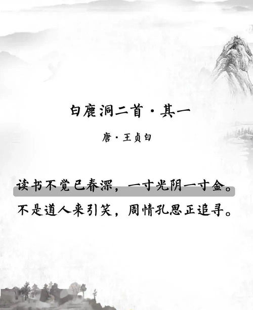关于识人、辨人的诗句
