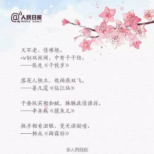 再回首下句,再回首时的后半句,再回首已是百年身上一句