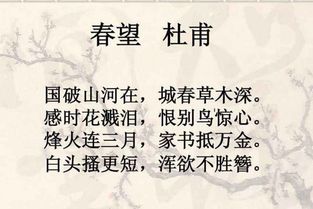 表现爱国精神的诗句古诗词