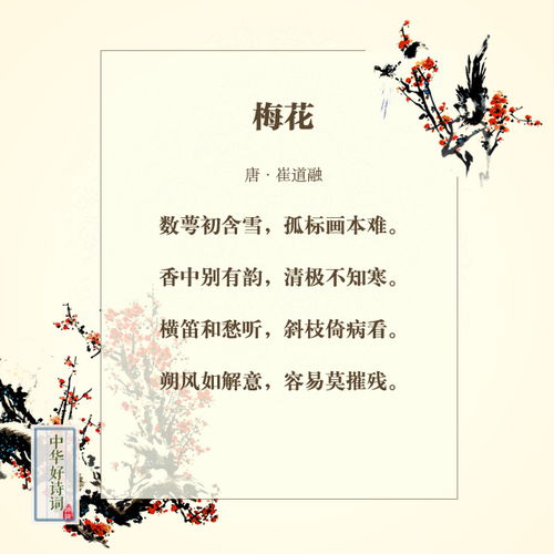 古诗与梅有关的诗句