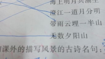 课外的古诗写黄河的诗句